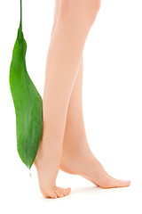 Image showing female legs with green leaf