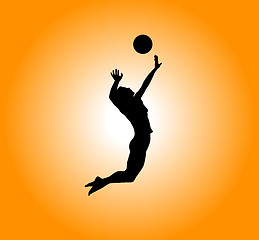 Image showing volleyball