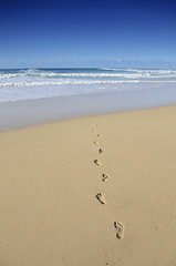 Image showing Footsteps on a white sand beach disappearing in the sea