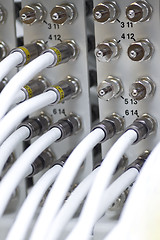 Image showing Network cable connected to a switch