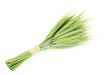 Image showing green wheat