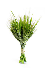 Image showing green wheat