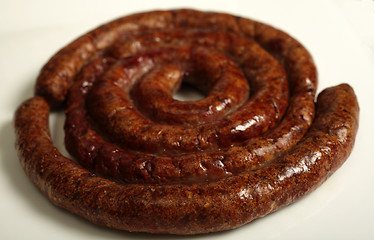 Image showing A grilled boerewors sausage on a plate