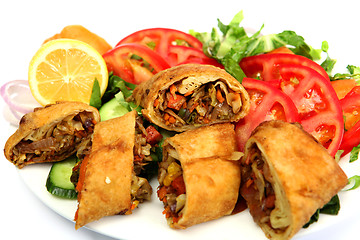 Image showing Vegetable spring roll and salad