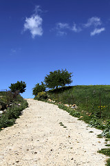 Image showing Cretan country lane