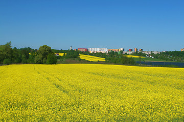 Image showing May scene