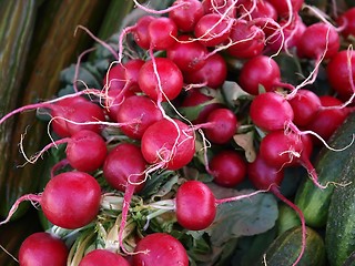 Image showing Radish