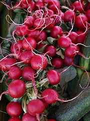 Image showing Radish 