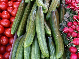 Image showing Cucumbers, Tomatoes and Radish 