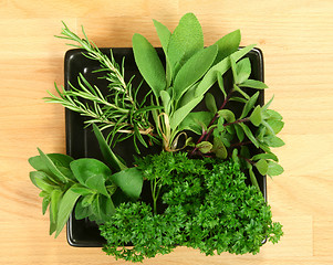 Image showing Herbal ingredients