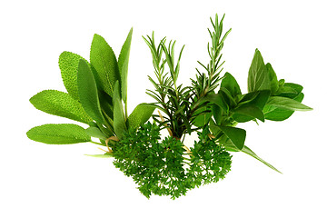 Image showing Green Herbs