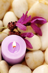 Image showing candle and lavender