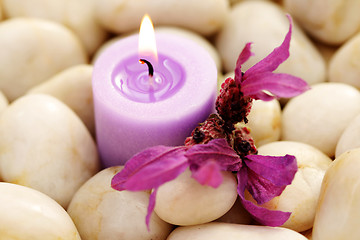 Image showing candle and lavender
