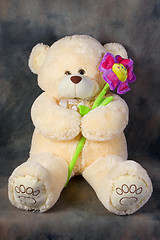 Image showing Teddy bear with flower