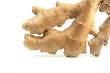 Image showing Ginger