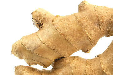 Image showing Ginger