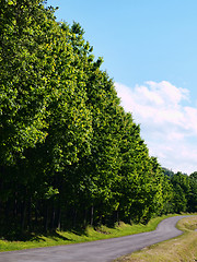 Image showing Road in the countryside