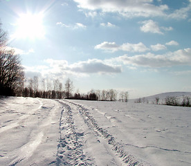 Image showing Winter landscape 1