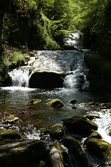 Image showing Watersmeet