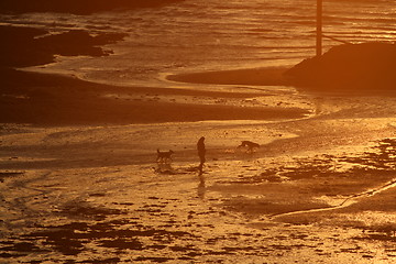 Image showing lone walker