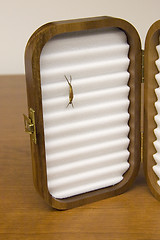 Image showing Wooden flybox with fly in it