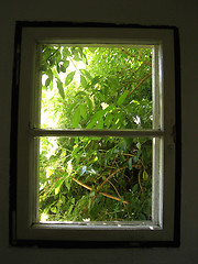 Image showing window