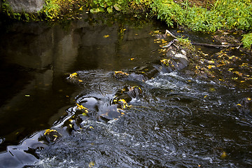 Image showing Streaming water