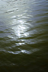 Image showing Sunny water surface