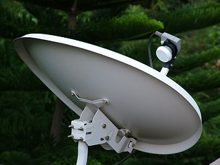 Image showing Dish