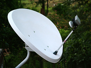 Image showing Dish