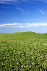 Image showing Green Meadow