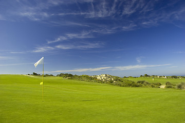 Image showing Green Meadow