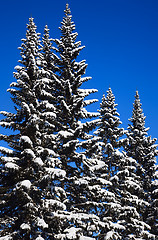 Image showing Winter landscape