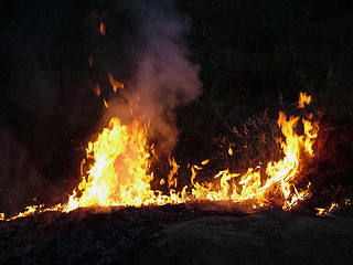 Image showing Fire