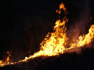 Image showing Fire