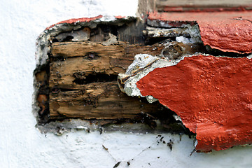 Image showing Old Wood (6680)