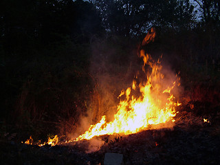 Image showing Fire