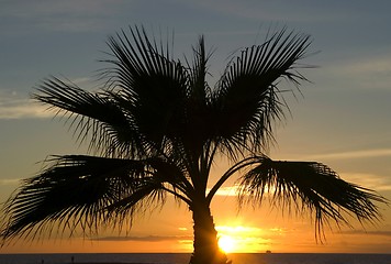 Image showing caribbean sunset