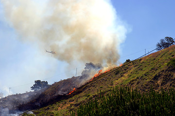 Image showing Barnett Fire