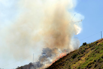 Image showing Barnett Fire