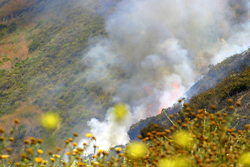 Image showing Barnett Fire