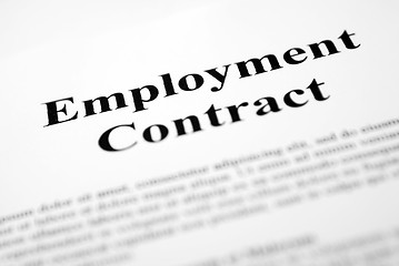 Image showing Employment Contract