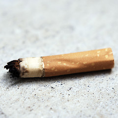 Image showing Cigarette butt.