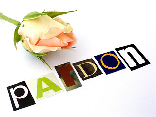 Image showing pardon