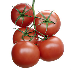 Image showing Fresh tomato