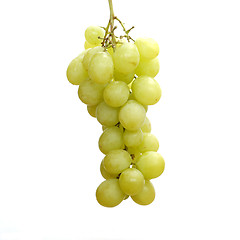 Image showing Bunch of grapes