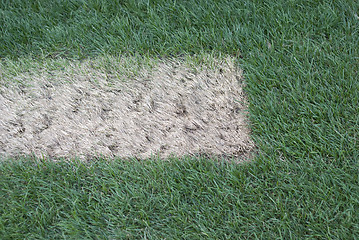 Image showing Dead patch of grass.