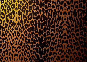 Image showing leopard skin