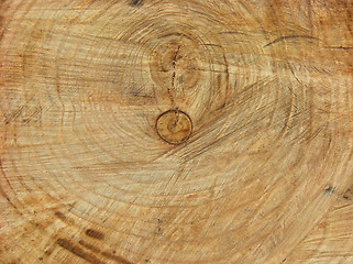 Image showing ñðåç äåðåâà  tree cut