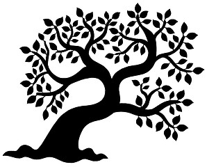 Image showing Leafy tree silhouette